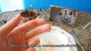 очень вкусный завтрак! ASMR Sonic | ASMR есть звуки не разговаривать