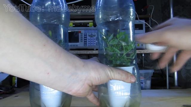 Высокое напряжение и растения. Эксперимент смотреть онлайн