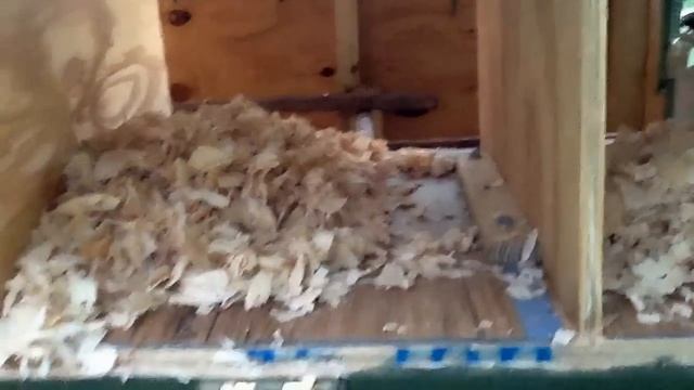 Chicken tractor and coop combo смотреть онлайн