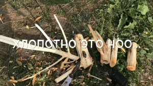 КОРЯГА В АКВАРИУМ СВОИМИ РУКАМИ!!! Самый простой способ!!!