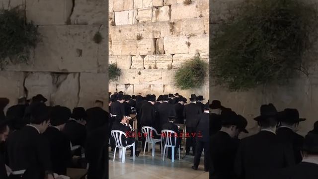 kotel maaravi