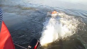 На плоту по реке Вятка