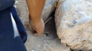 Часть 1. Бездомные щенки из под бетонных завалов.