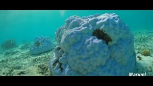 Enya - Only Time (De Fault & Rassell Khan Remix)