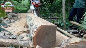 STIHL DUROMATIC E made in Germany