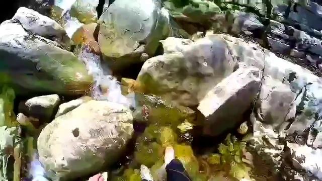 Ощущение бесконечного счастья от нескольких часов наедине с природой и победой над своими страхами. смотреть онлайн