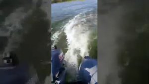 Мотор Yamaha 3 л.с. и лодка Cat Fish 290