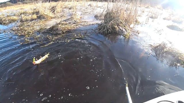 Да сколько же щуки в этой реке??!!!! Рыбака на спиннинг Zetrix Avalanche. смотреть онлайн