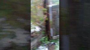 2 июня на даче Чисто-Перхурово