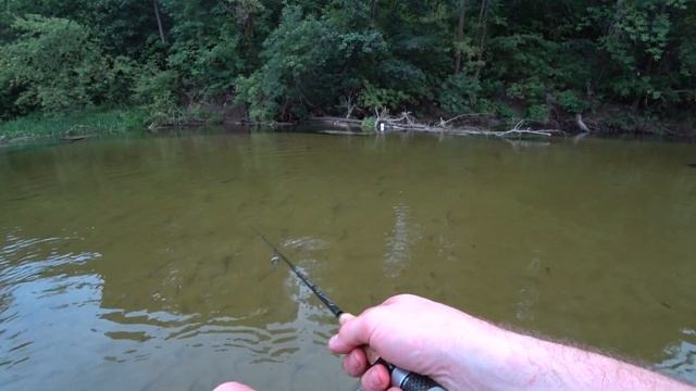Сплав с ночевкой по красивой реке. РЫБАЛКА РЕЛАКС. Ловля Мелочи на реке Ворона смотреть онлайн