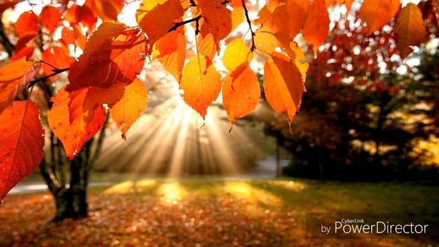 Фото-подборка. ОСЕНЬ. смотреть онлайн