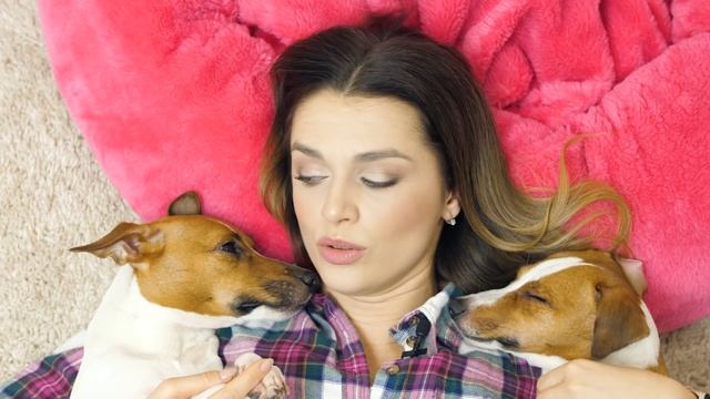 КАКИЕ ОНИ РАЗНЫЕ!!!Сравниваю своих джек расселов! смотреть онлайн