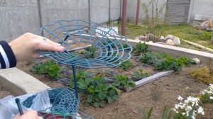 Опора подставка для клубники