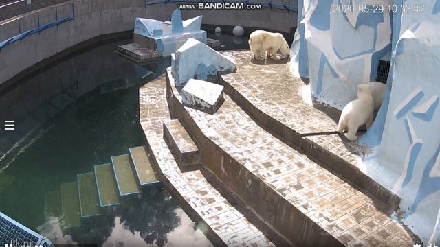 Очень вкусный пол после завтрака 29.05.2020 смотреть онлайн