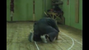 Самооборона. Боевая акробатика