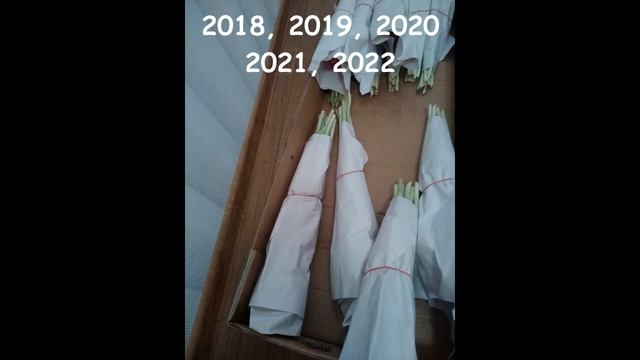 "Бизнес идея" ХОББИ ТЮЛЬПАНЫ смотреть онлайн