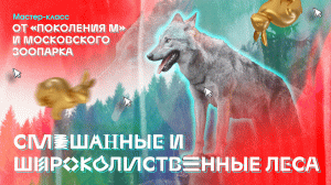 Мастер-класс «Смешанные и широколиственные леса» от «Поколения М» и Московского зоопарка