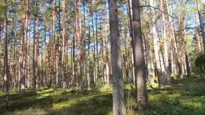 озеро Нарочь