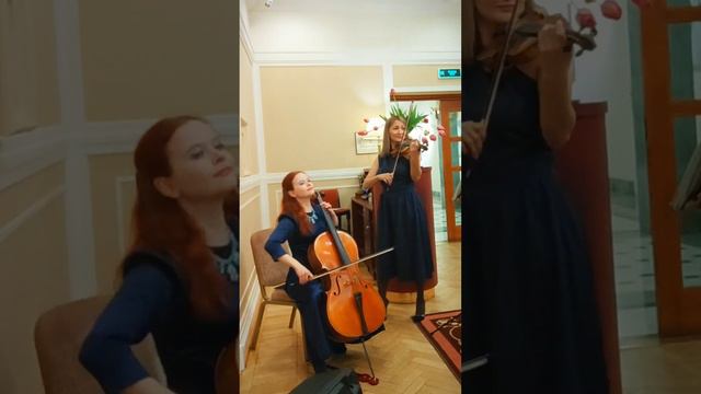 music tango violin cello duet музыка живаямузыка скрипка виолончель танго музыкантыспб