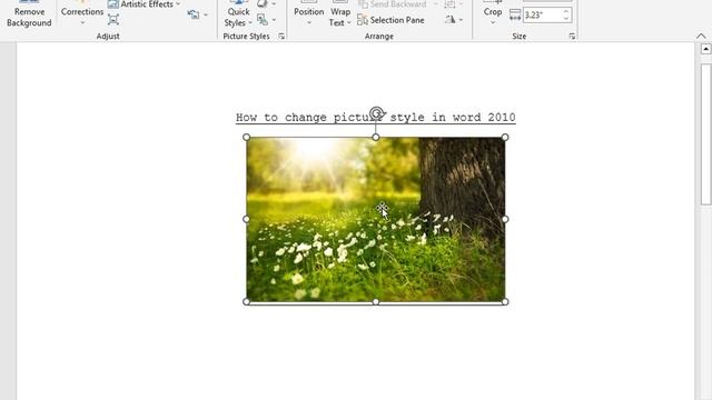 How to change picture style in word 2010 смотреть онлайн