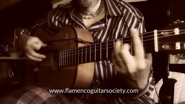 How to play Traditional Alegrias with Jose Deluna смотреть онлайн