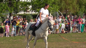 Показательное выступление. Девушка и лошадь