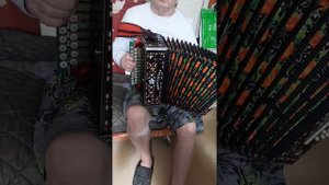 Смуглянка на любительской  гармони.СИ мажор.