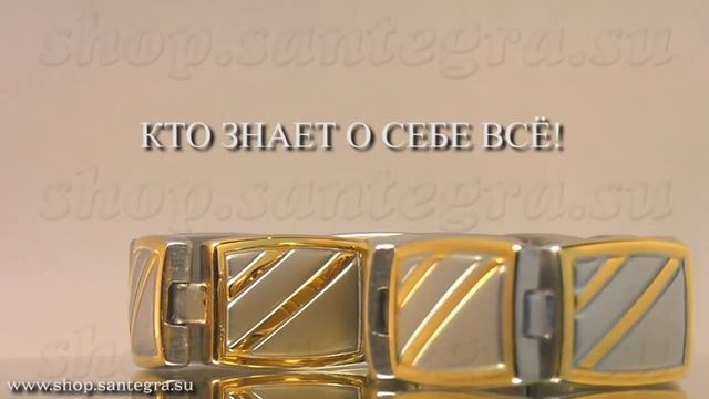 Стальной браслет с магнитами Гамильтон.Магнитный стальной браслет.Браслет из стали .Santegra Shop. смотреть онлайн