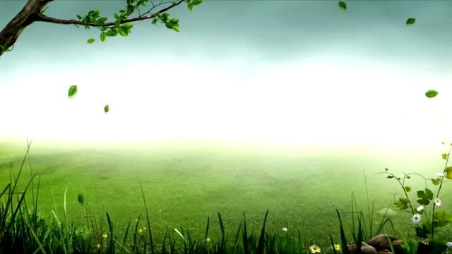 Когда дозволено мясо животных зарезанных людьми писания? (Абу Ханиф Абаза) смотреть онлайн