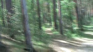 Отдых с палаткой озеро Еловое