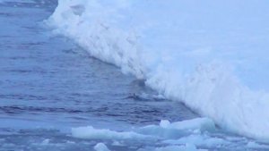 Math Behind Sea Ice & Our Changing Planet