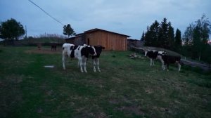 РЕМОНТ ДЕРЕВЕНСКОГО ДОМА _ НАЧИНАЮ ПОДНИМАТЬ ПЕРВЫЙ УГОЛ