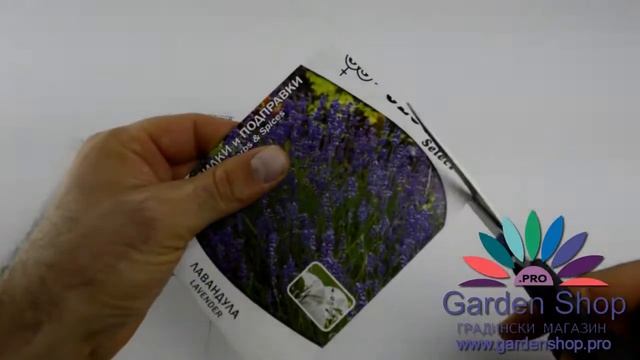 Семена лаванды в горшке на специальном диске уникальные для Болгарии смотреть онлайн