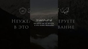 Умар сильдинский очень красивое чтение Корана(0004)