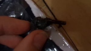 ЛЕДЯНКА СВОИМИ РУКАМИ