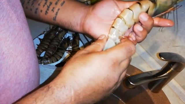 Как быстро и правильно чистить большие креветки Гамбас
