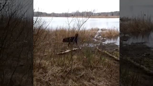 Мазуринское озеро смотреть онлайн