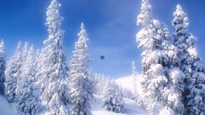 Самые красивые зимние пейзажи