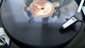 Butterflies In The Rain (Foxtrot) - Sherman Myers 1945 78 RPM