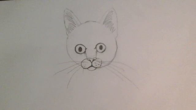 Как нарисовать котенка #1