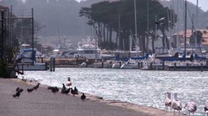 Жизнь больших городов