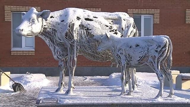 Принципы организации молочного комплекса