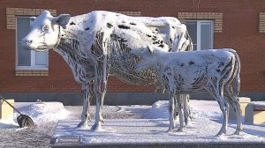 Принципы организации молочного комплекса