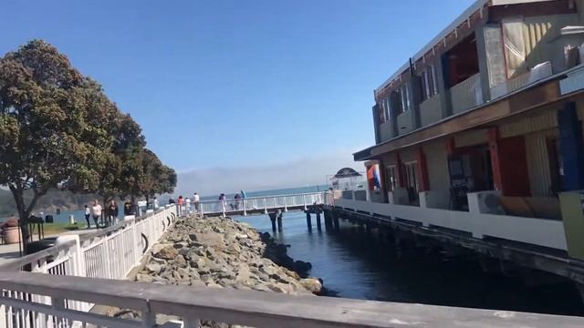 116 Тибурон , очень красивый город в Калифорнии США . #Tiburon смотреть онлайн