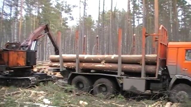 Timber Truck камаз лесовоз сортиментовоз Logging Truck