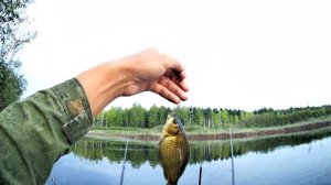 Осенний карась на карьере! Перловка рулит!