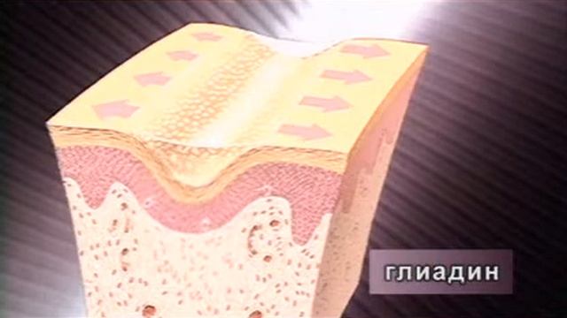 Timewise смотреть онлайн