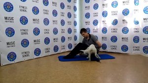 Упражнения для собаки. Чем занять щенка.