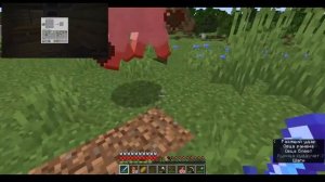 MINECRAFT прокачка жителей, приключение до съемки, АЛМАЗНИЙ СЕТ БРОНИ, ПОХОД В НЕЗЕР! в майнкрафт :