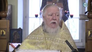 Протоиерей Димитрий Смирнов. Проповедь о преемнике эстафеты Иоанна Предтечи и покаявшемся Закхее